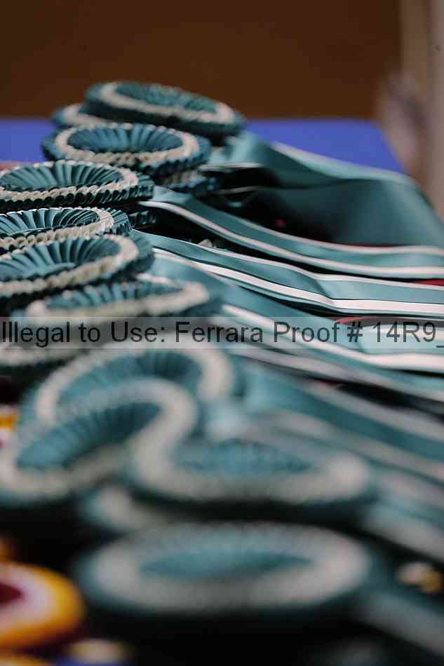 Proof Number 14r9_6729