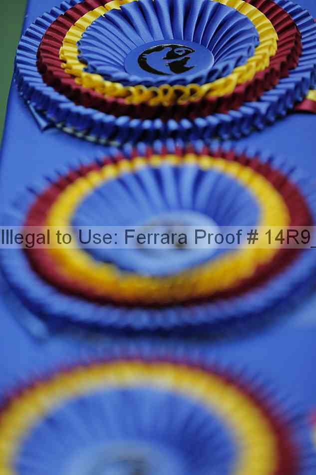 Proof Number 14r9_6734