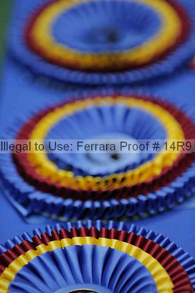 Proof Number 14r9_6735