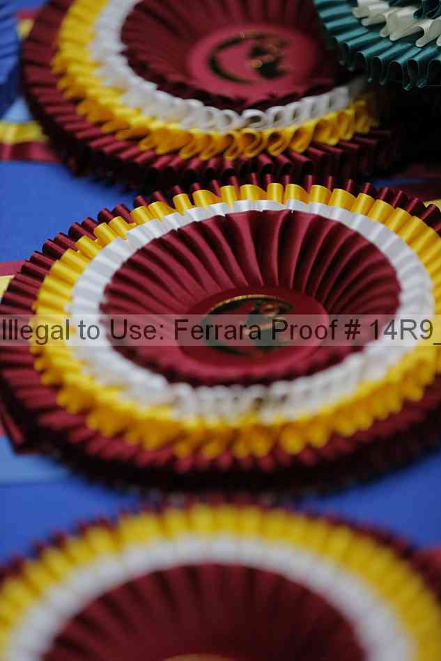 Proof Number 14r9_6737