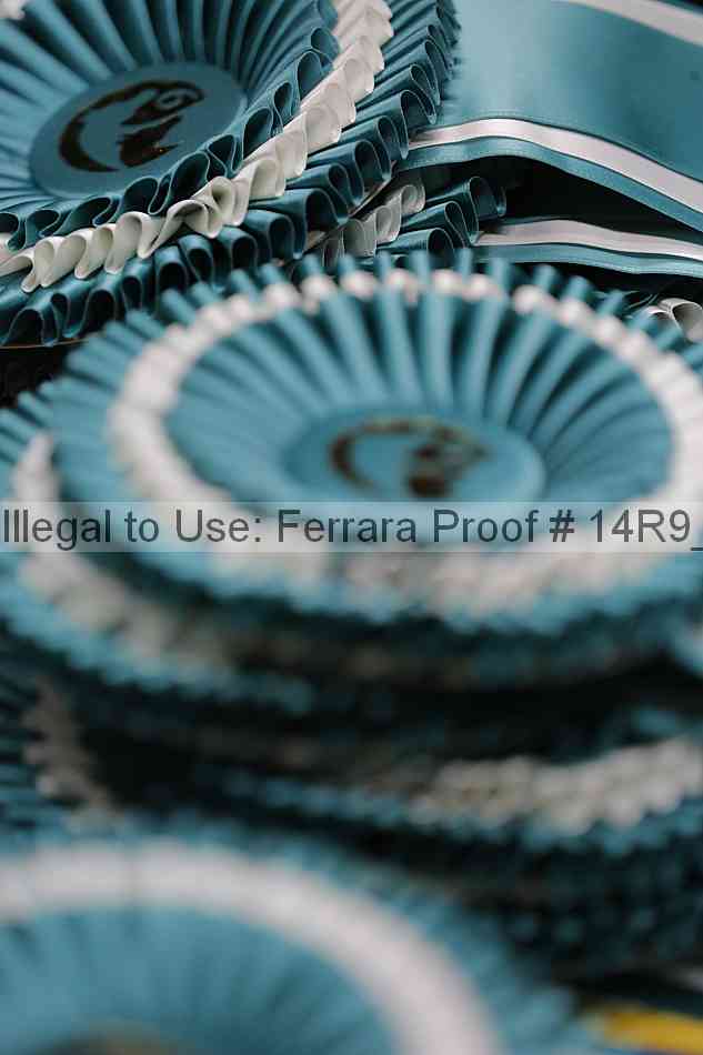 Proof Number 14r9_6740