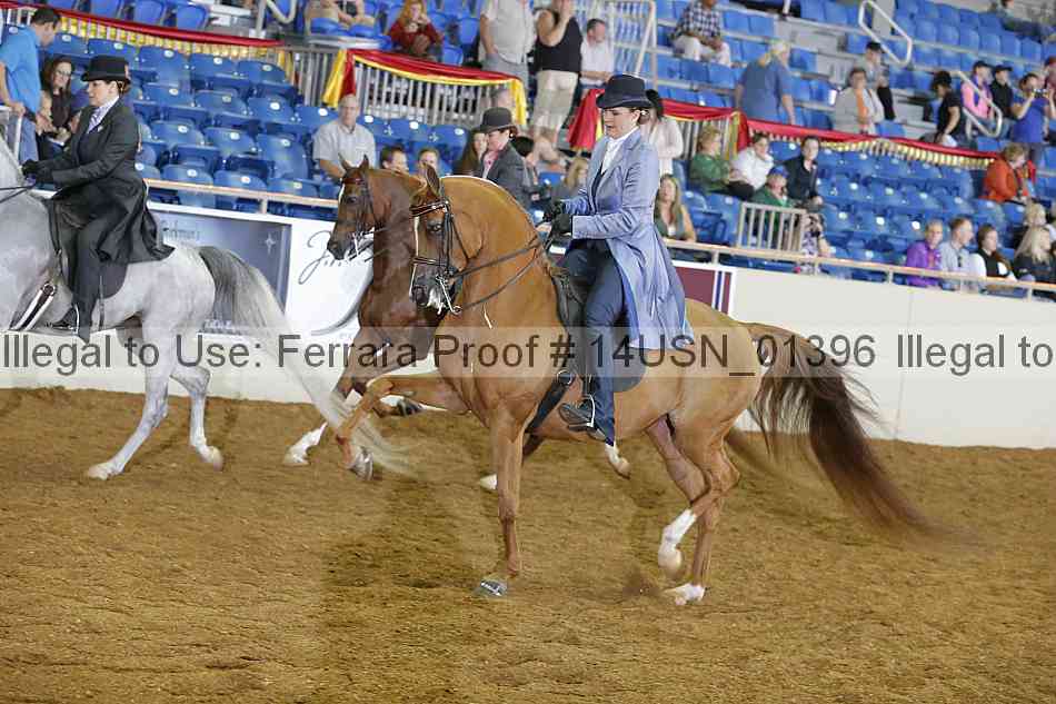 Proof Number 14usn_01396
