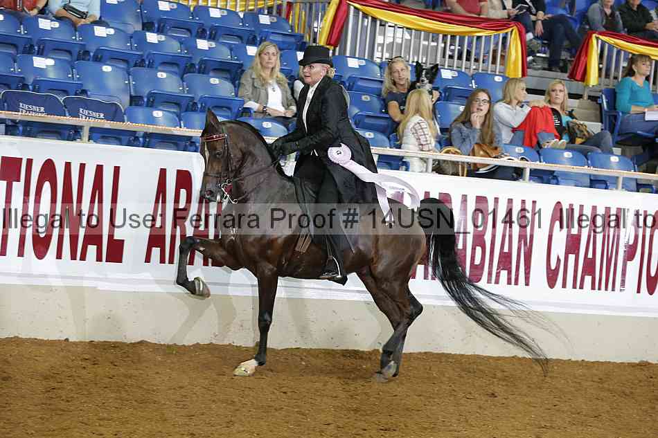 Proof Number 14usn_01461