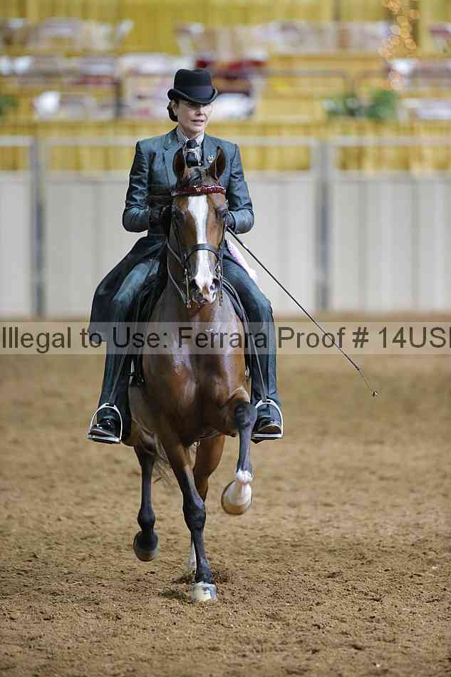 Proof Number 14usn_01463