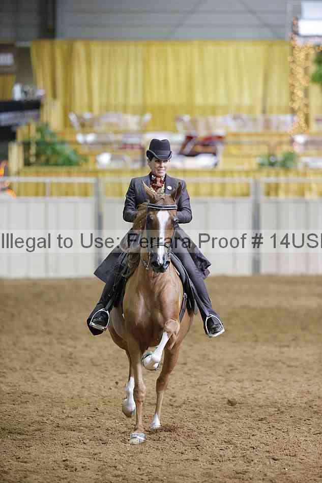 Proof Number 14usn_01486
