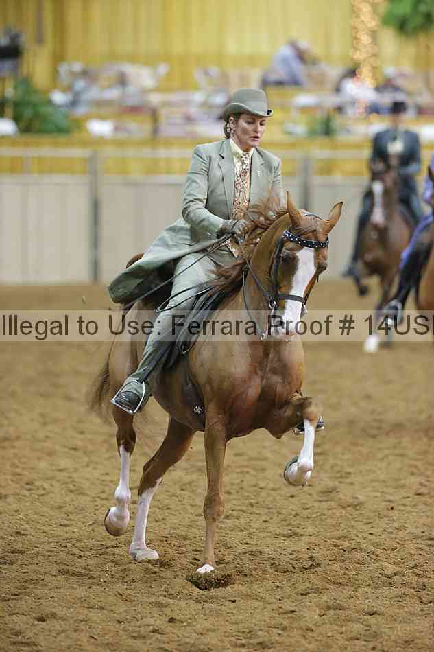 Proof Number 14usn_09026