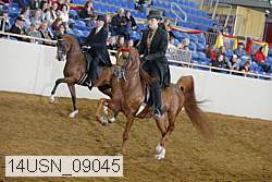 14usn_09045 thumbnail