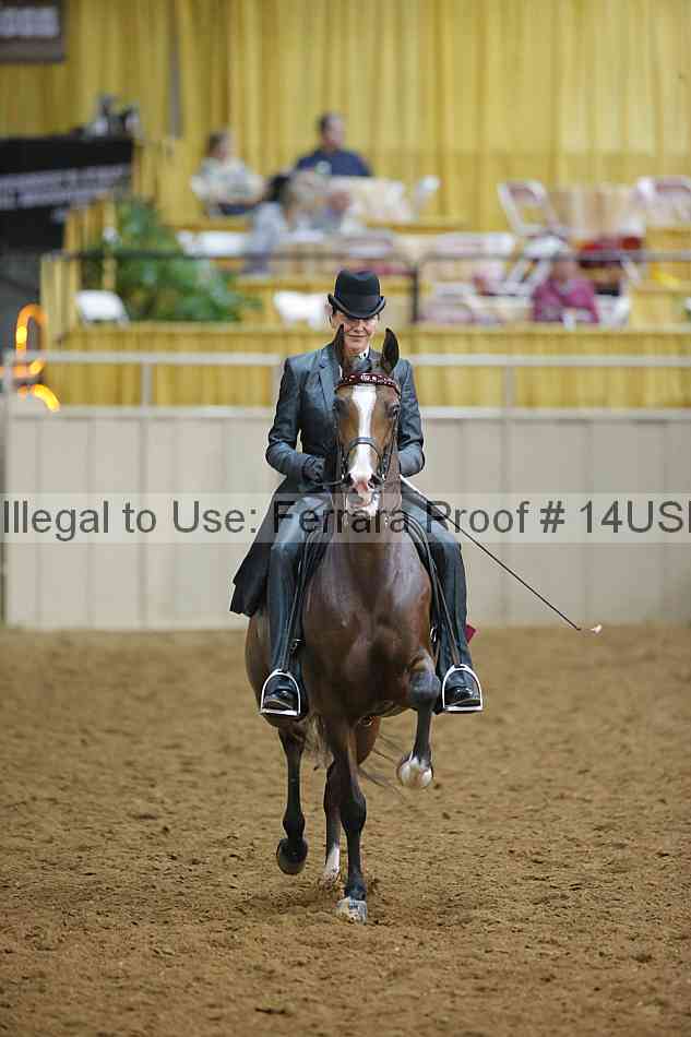 Proof Number 14usn_09176
