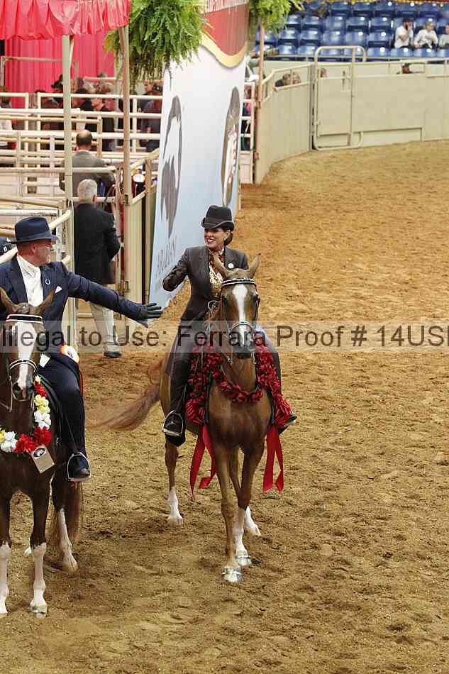 Proof Number 14usn_09182