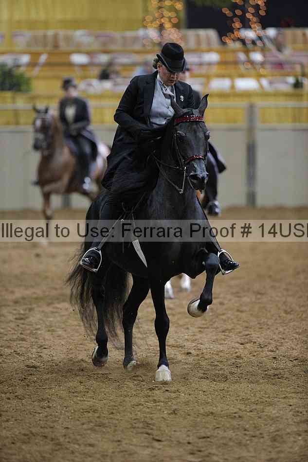 Proof Number 14usn_00569