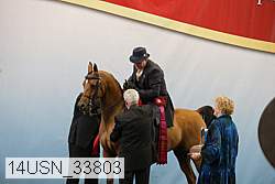 14usn_33803 thumbnail