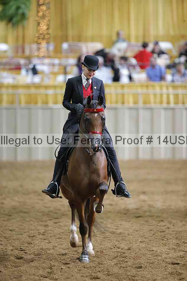 Proof Number 14usn_30987