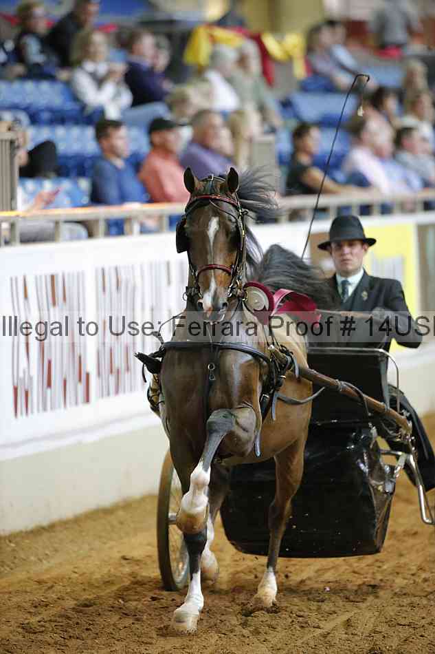 Proof Number 14usn_11555