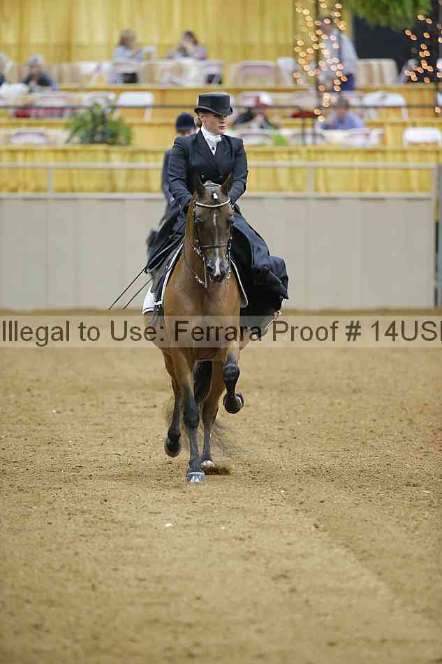 Proof Number 14usn_04099