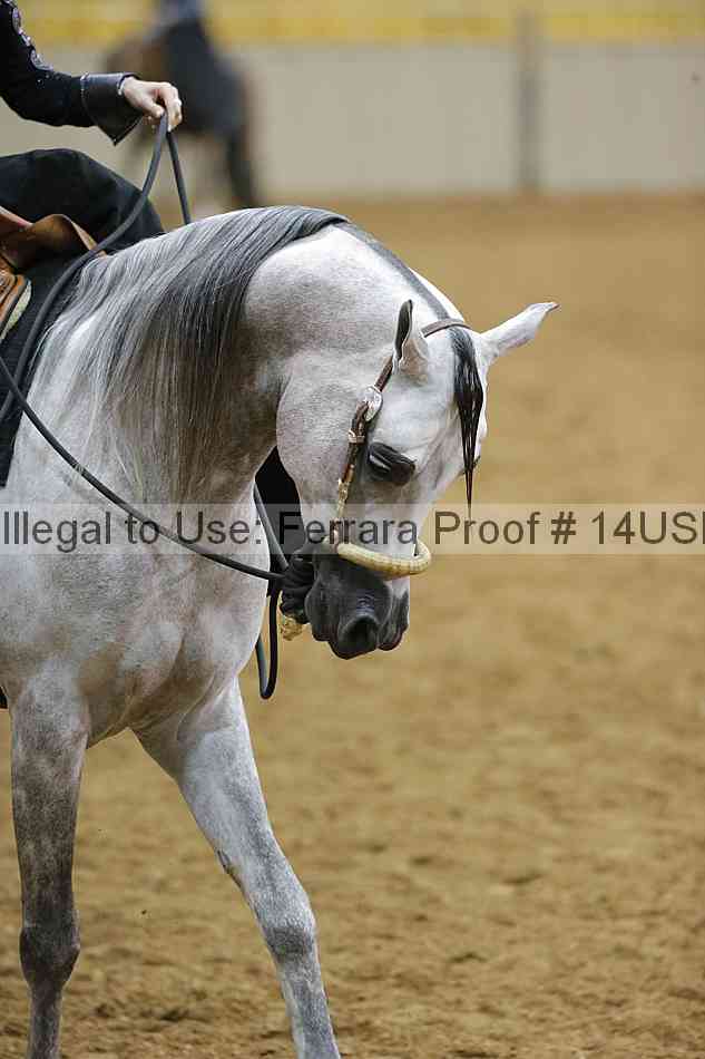 Proof Number 14usn_01876
