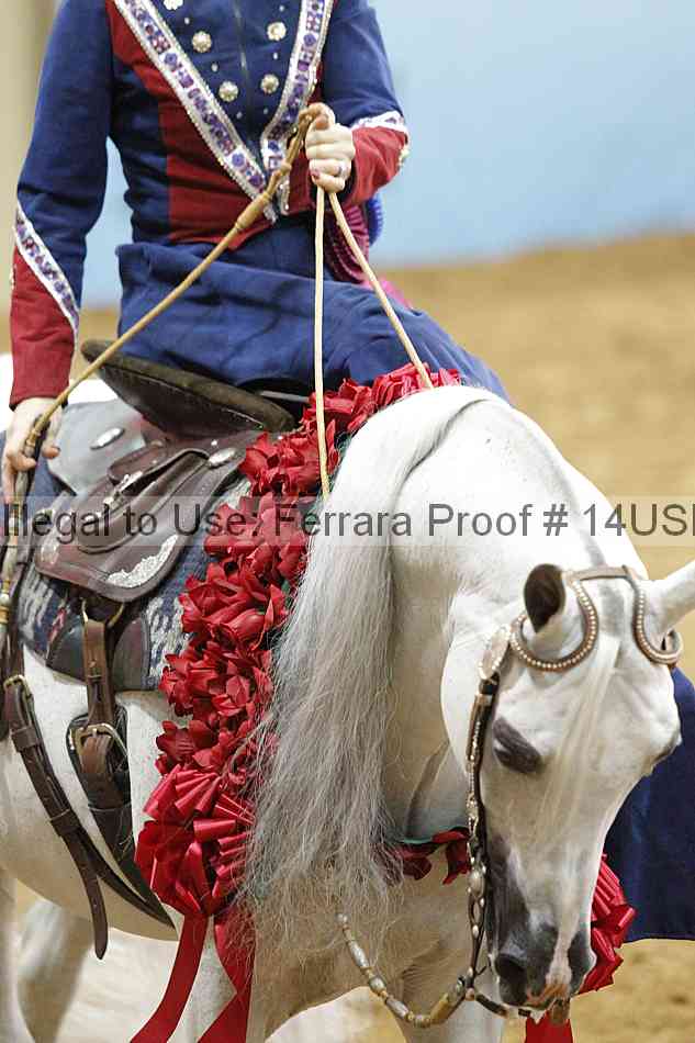 Proof Number 14usn_02026
