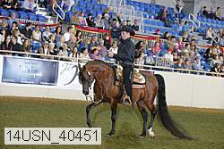 14usn_40451 thumbnail