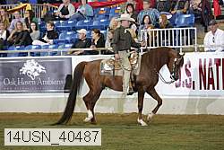 14usn_40487 thumbnail