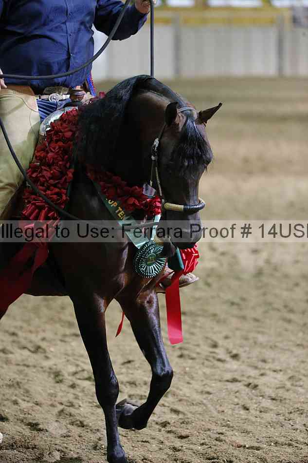 Proof Number 14usn_37552