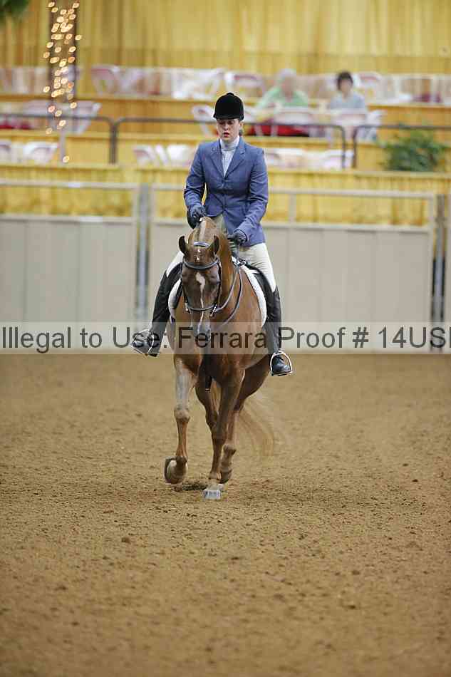 Proof Number 14usn_13954