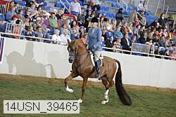 14usn_39465 thumbnail
