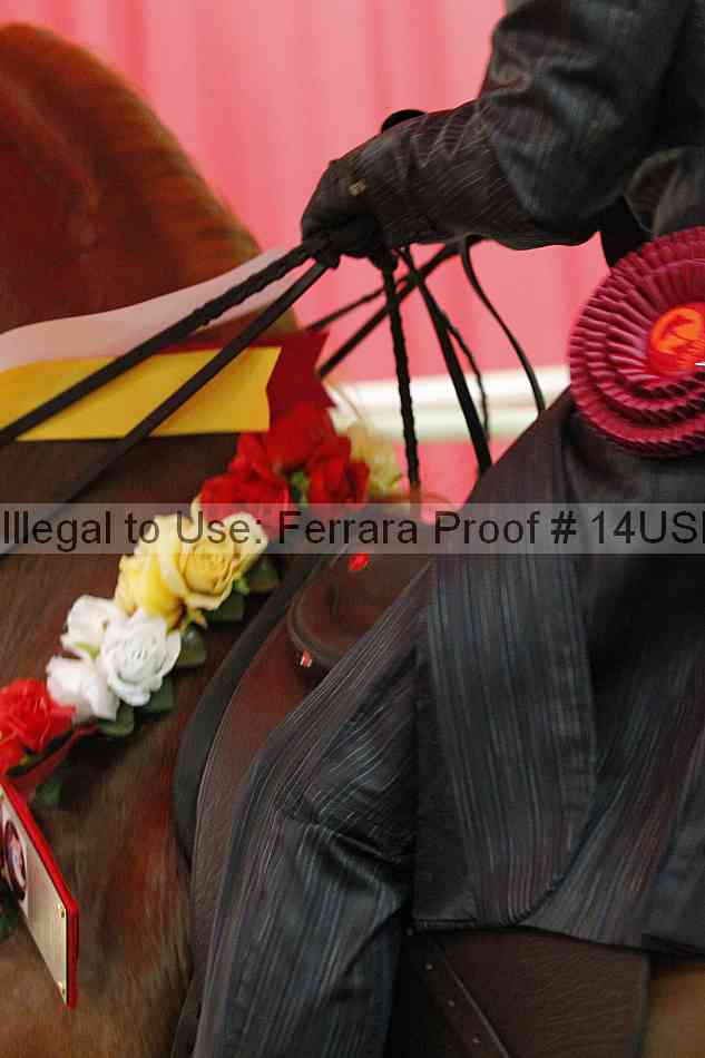 Proof Number 14usn_27169