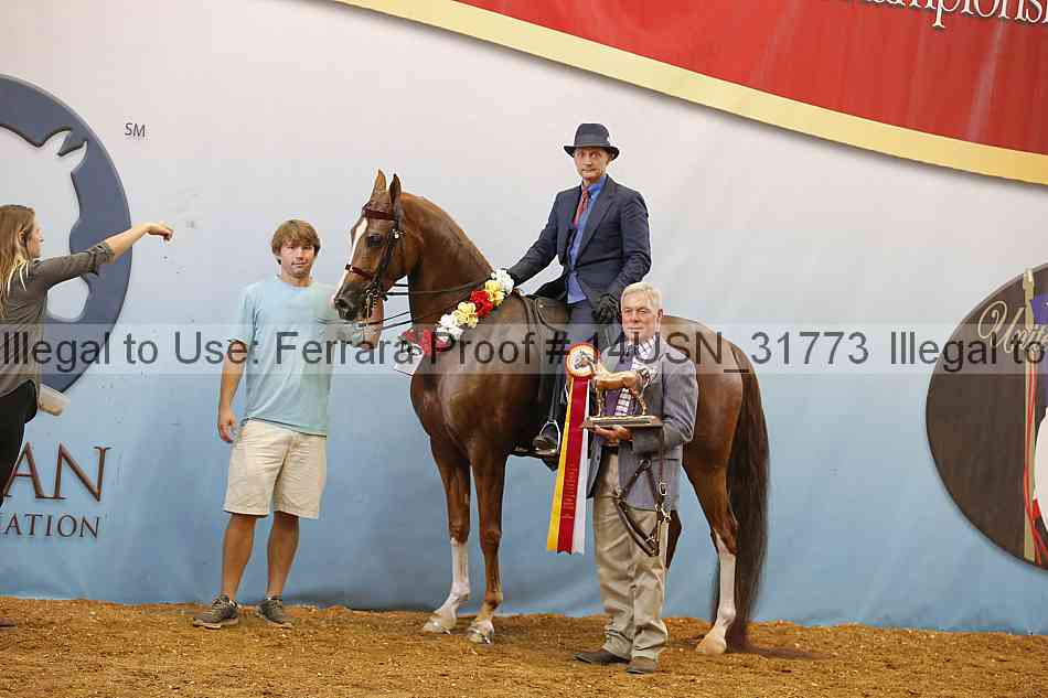 Proof Number 14usn_31773
