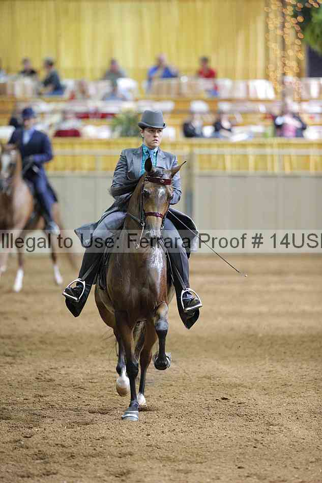 Proof Number 14usn_01055