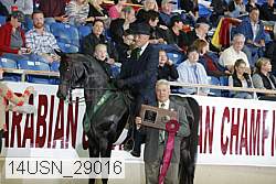14usn_29016 thumbnail