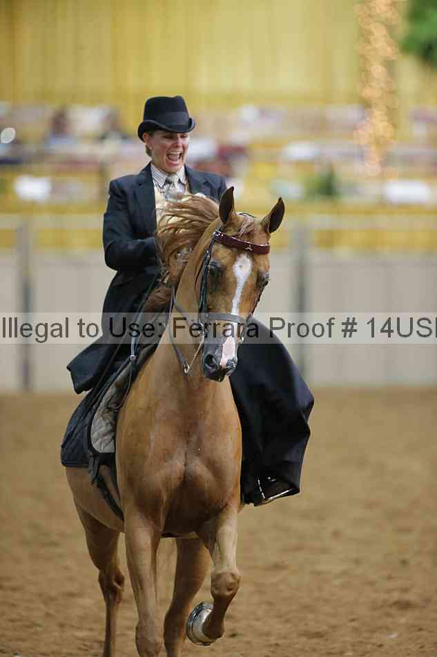 Proof Number 14usn_09894