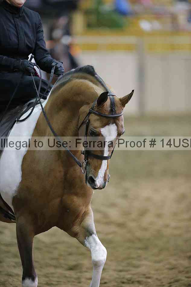 Proof Number 14usn_35185