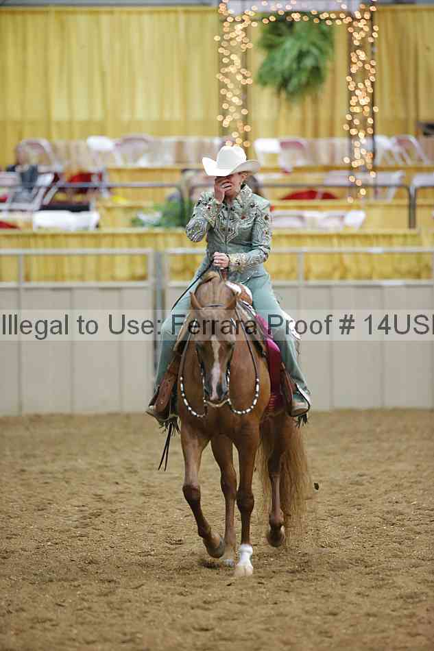 Proof Number 14usn_28758