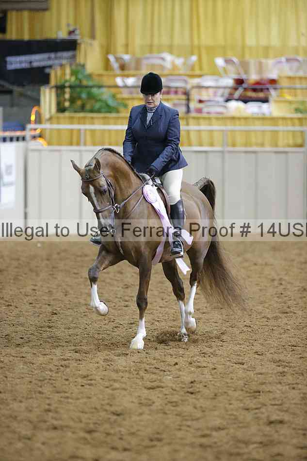 Proof Number 14usn_02985