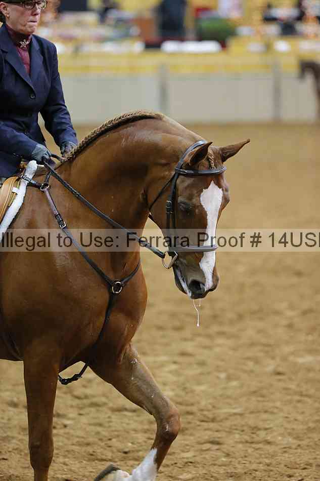 Proof Number 14usn_10922