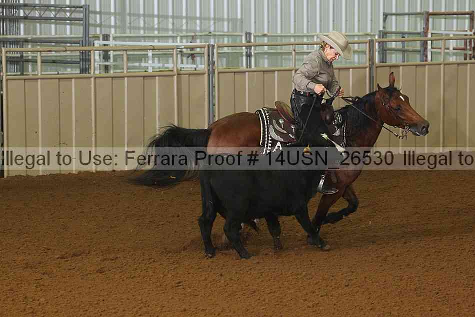 Proof Number 14usn_26530