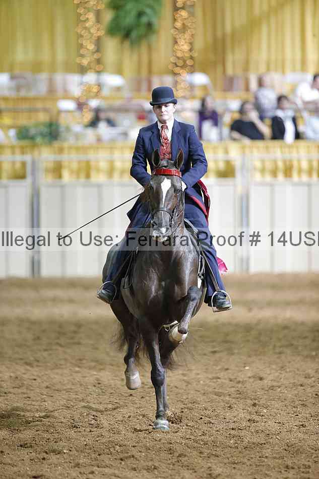 Proof Number 14usn_31374