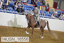 14usn_16556 thumbnail