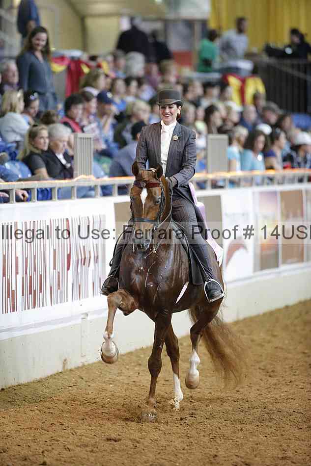 Proof Number 14usn_16946