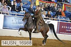14usn_16988 thumbnail