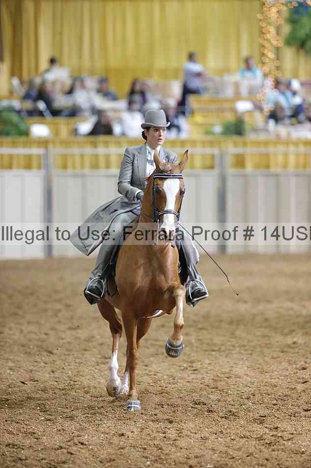 Proof Number 14usn_26576