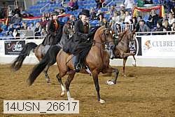 14usn_26617 thumbnail