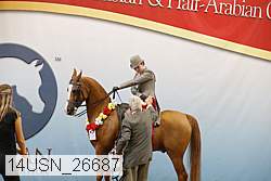 14usn_26687 thumbnail