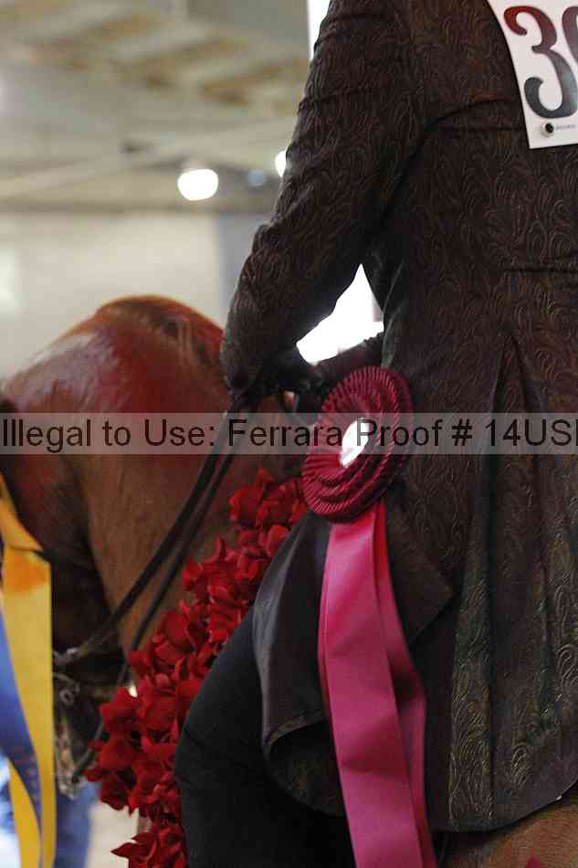 Proof Number 14usn_26802