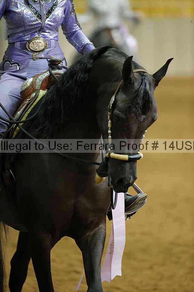 Proof Number 14usn_12741