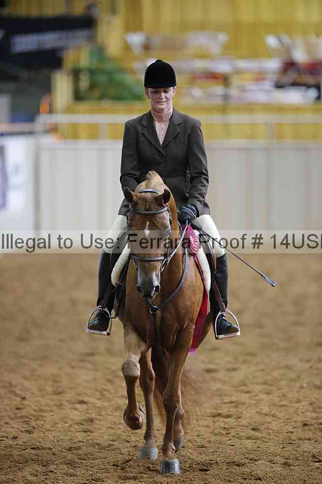 Proof Number 14usn_14754