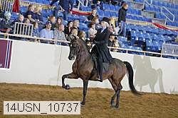 14usn_10737 thumbnail