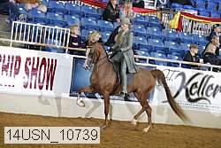 14usn_10739 thumbnail