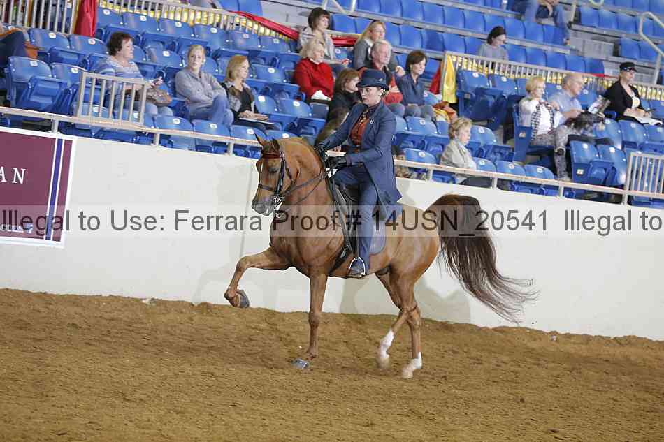 Proof Number 14usn_20541