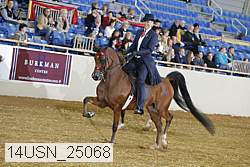 14usn_25068 thumbnail