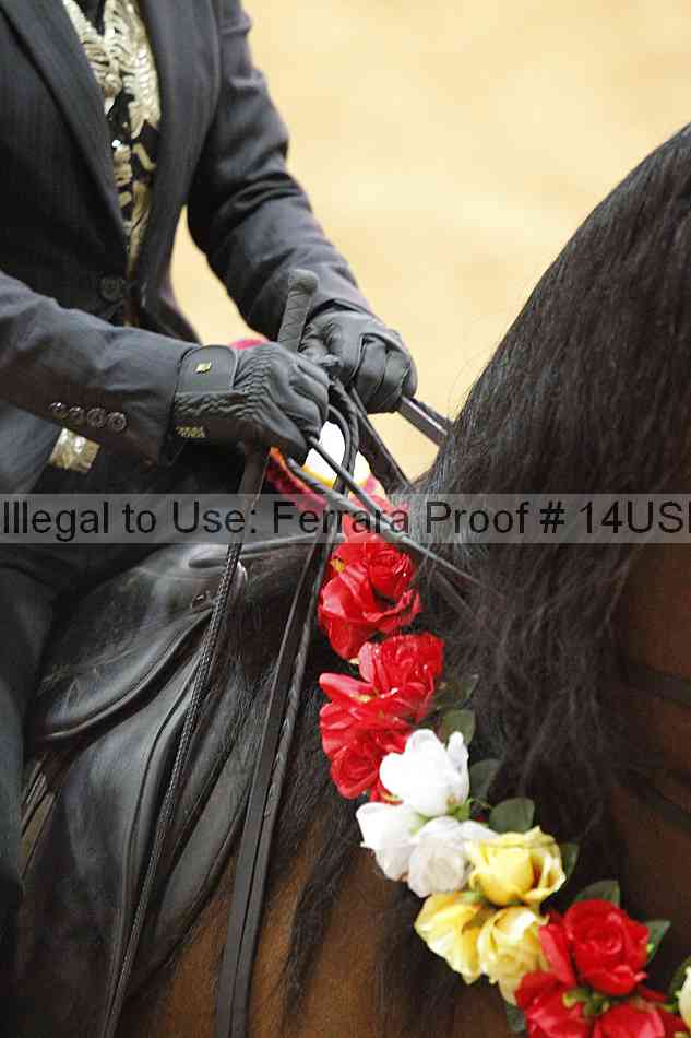Proof Number 14usn_25175